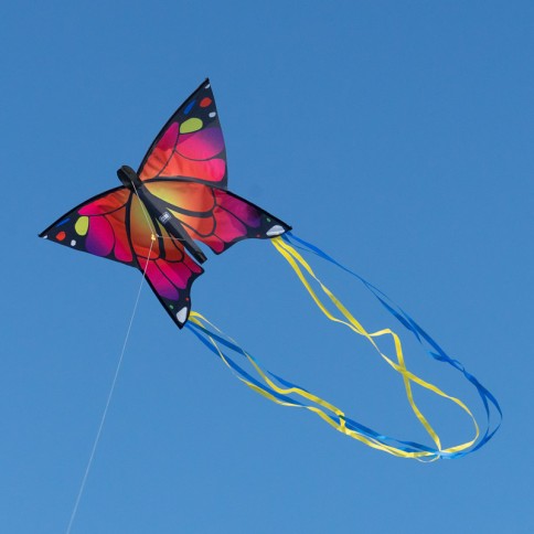Cerf-volant papillon monofil enfant