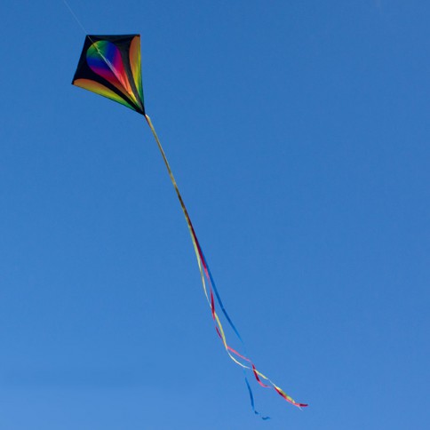 Grandes cerfs-volants arc-en-ciel, queue à longue queue douce Flyer Easy  Rainbow Kite pour enfants et audlts avec 100 m chaîne 210x1
