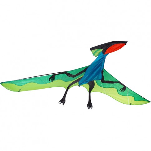 cerfs-volants pour enfants et adultes avec une planche de ligne de 100 mètres et une queue en rotation.120X140cm Hangarone Cerf-volant en forme de dinosaure 3D 