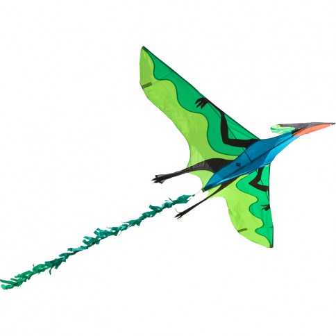 Cerf-Volant de Poisson Cerf-Volant 3D Cerf-Volant d'épaulard