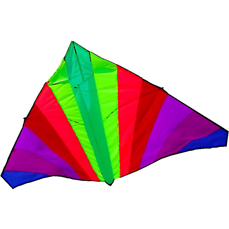Elliot Delta Basic – Cerf-Volant Delta Bleu/Noir – 110x55 Cm, Fibre De Verre, Nylon – Débutant à Partir De 8 Ans – Vent 5-38 Km/h