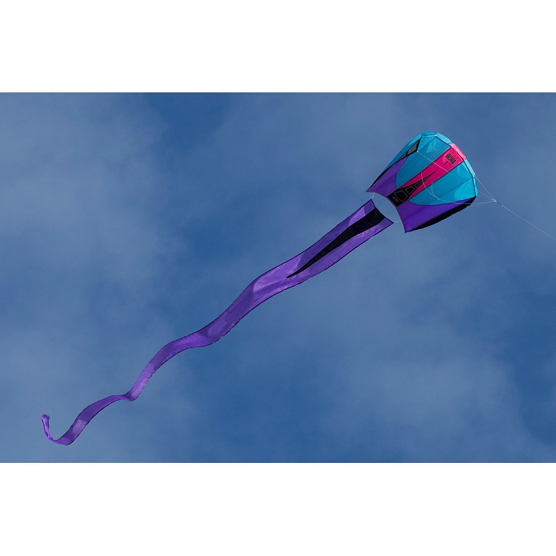 Avis sur Cerf-volant acrobatique à deux lignes Parafoil 0,7 x 2m, voile