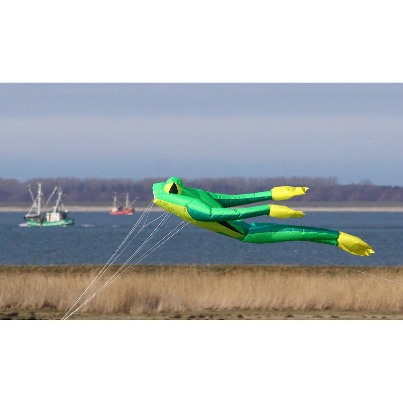 Cerf-Volant Baleine Willi The Whale - Grand Format 2,10m Avec Bobine 100m