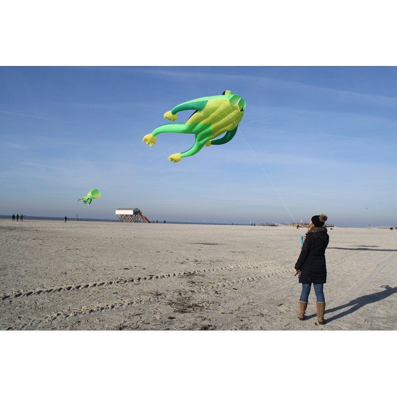 Cerf-Volant Géant Frog XL Fritz 480 cm | Cerf-Volant Service