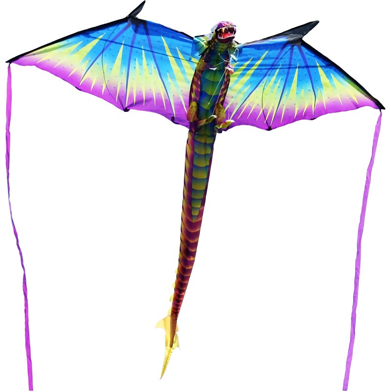 XKites dragon 3D, cerfsvolants monofils par XKites sur Ennapurna