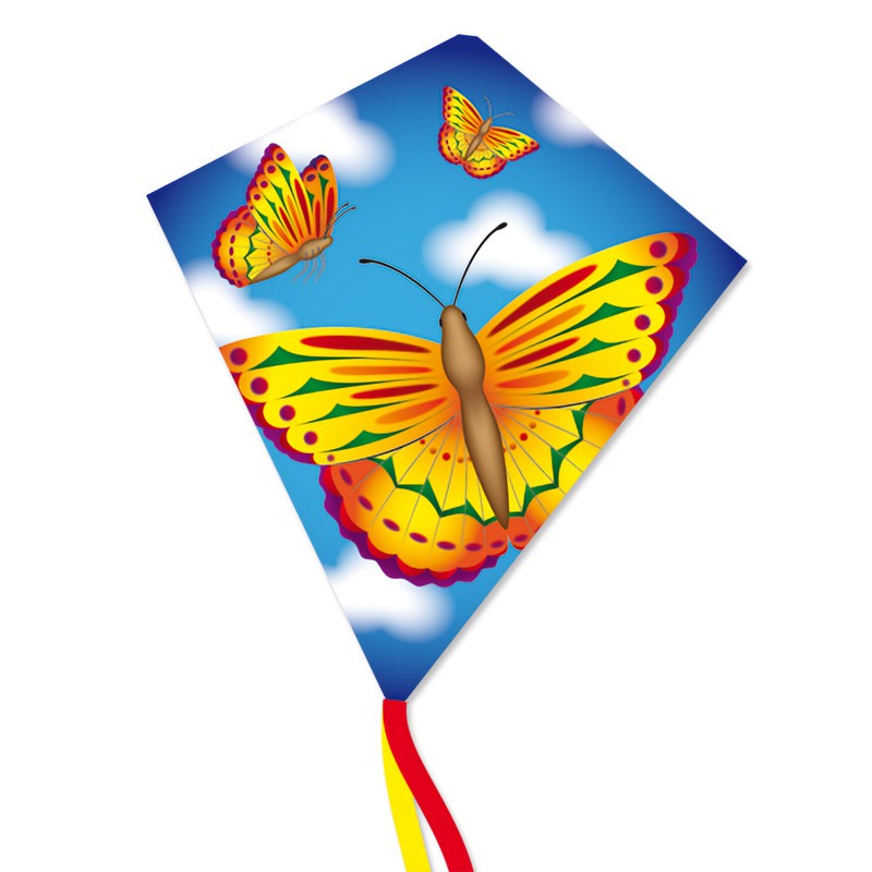 Monofil Colours in Motion Dream Eddy Papillon