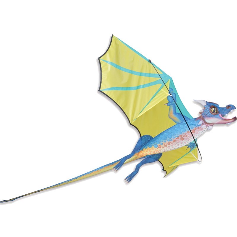 Cerf-volant monofil Premier Kites 3D Dragon Kite Stormcloud