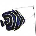 Manche à air poisson Premier Kites Swimming Fish Angelfish