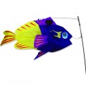 Manche à air poisson Premier Kites Swimming Fish Fairy Basslet