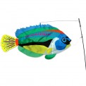 Manche à air poisson Premier Kites Swimming Fish Peacock Wrasse