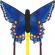 Blue swallowtail / Battus philenor